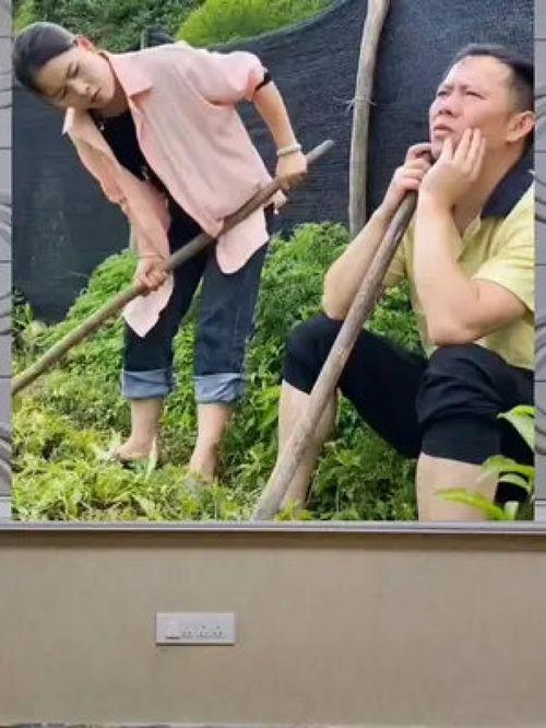 娱乐健身吃瓜,吃瓜群众乐翻天